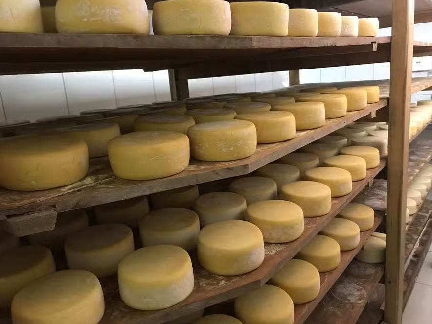 Queijo