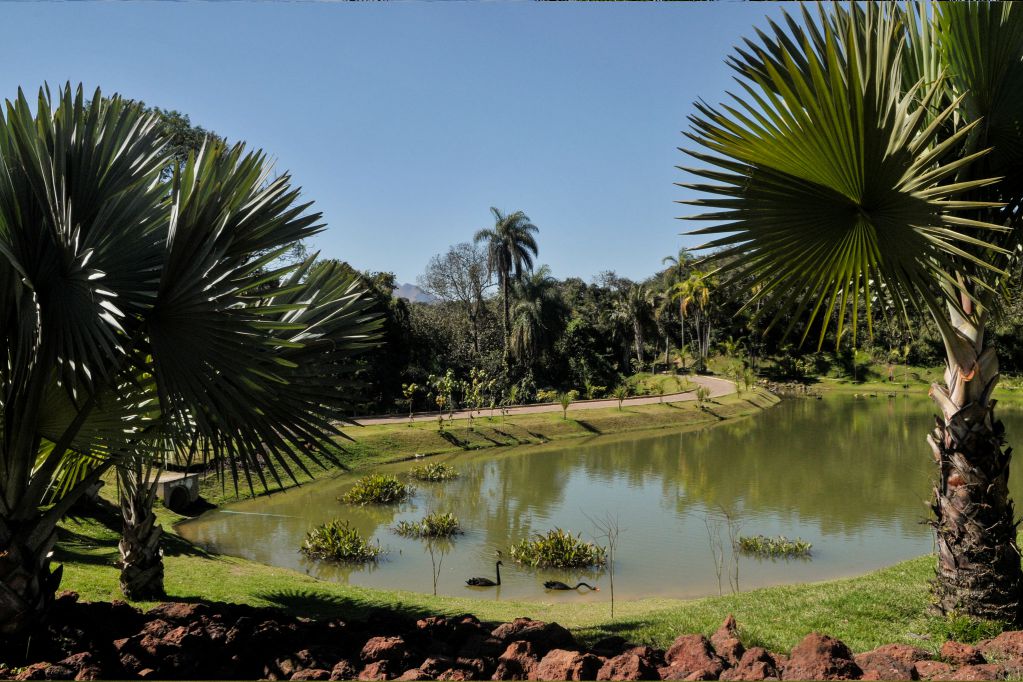 Instituto Inhotim
